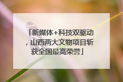 新媒体+科技双驱动，山西两大文物项目斩获全国最高荣誉