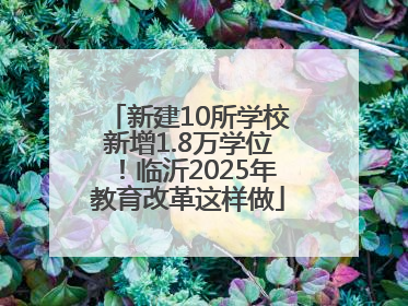 新建10所学校新增1.8万学位！临沂2025年教育改革这样做