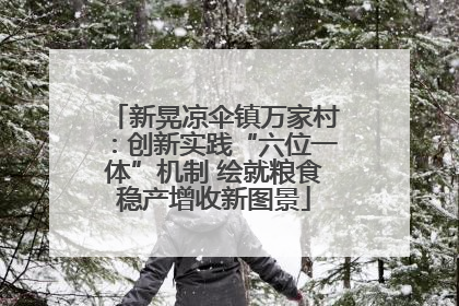 新晃凉伞镇万家村：创新实践“六位一体”机制 绘就粮食稳产增收新图景