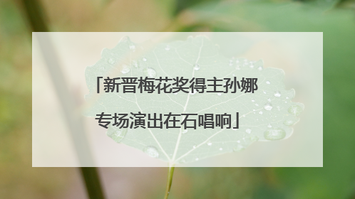 新晋梅花奖得主孙娜专场演出在石唱响