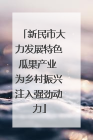新民市大力发展特色瓜果产业 为乡村振兴注入强劲动力