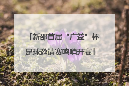 新邵首届“广益”杯足球邀请赛鸣哨开赛