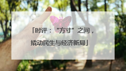 时评：“方寸”之间，撬动民生与经济新局