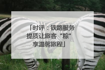 时评：铁路服务提质让旅客“粽”享温馨旅程