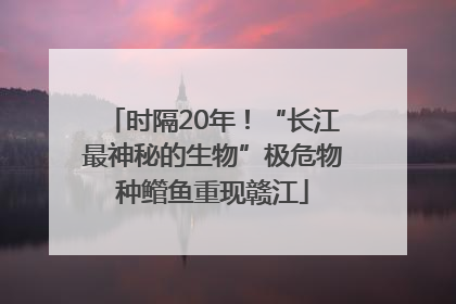 时隔20年！“长江最神秘的生物”极危物种鳤鱼重现赣江