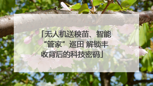 无人机送秧苗、智能“管家”巡田 解锁丰收背后的科技密码