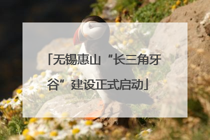 无锡惠山“长三角牙谷”建设正式启动