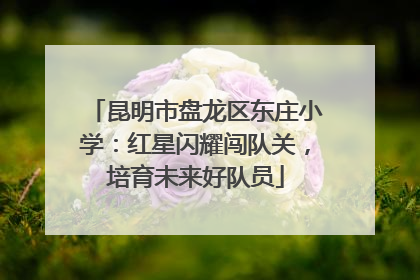 昆明市盘龙区东庄小学：红星闪耀闯队关，培育未来好队员