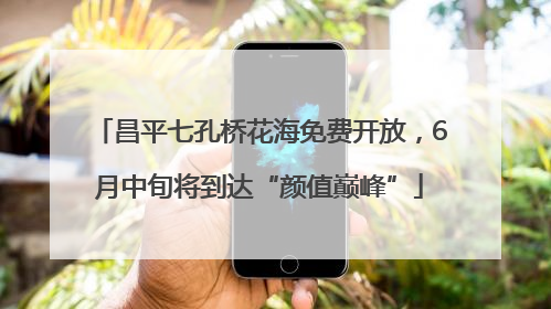 昌平七孔桥花海免费开放，6月中旬将到达“颜值巅峰”