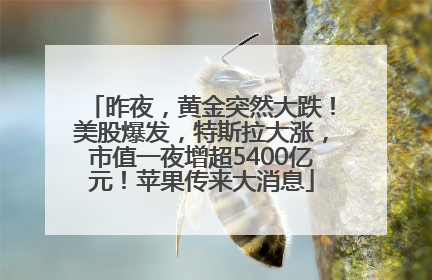 昨夜，黄金突然大跌！美股爆发，特斯拉大涨，市值一夜增超5400亿元！苹果传来大消息
