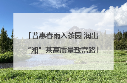 普惠春雨入茶园 润出“湘”茶高质量致富路