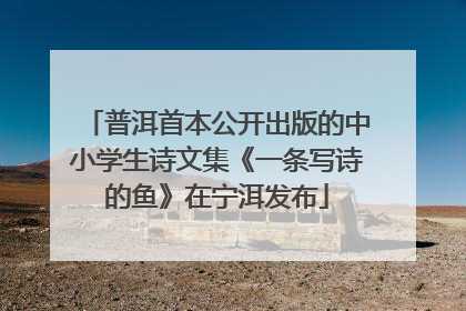 普洱首本公开出版的中小学生诗文集《一条写诗的鱼》在宁洱发布