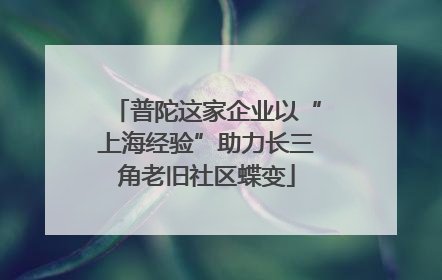 普陀这家企业以“上海经验”助力长三角老旧社区蝶变