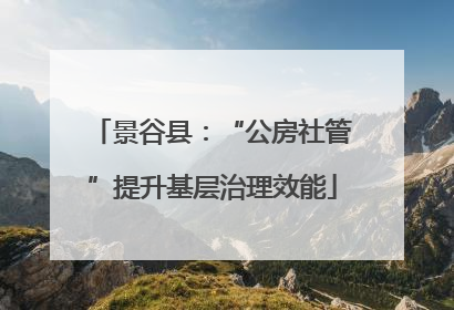 景谷县：“公房社管”提升基层治理效能