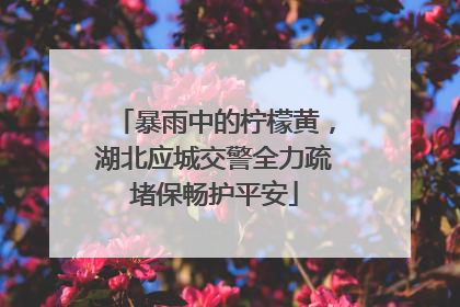 暴雨中的柠檬黄，湖北应城交警全力疏堵保畅护平安