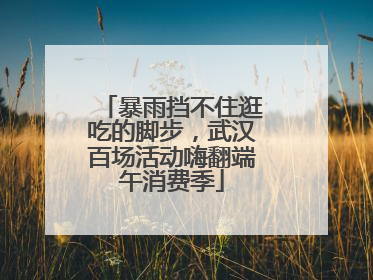暴雨挡不住逛吃的脚步，武汉百场活动嗨翻端午消费季