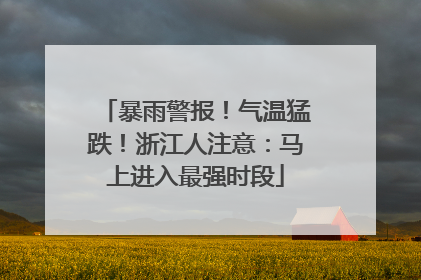 暴雨警报！气温猛跌！浙江人注意：马上进入最强时段