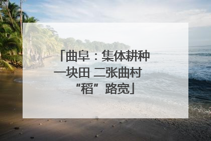 曲阜：集体耕种一块田 二张曲村“稻”路宽