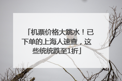 机票价格大跳水！已下单的上海人速查，这些统统跌至1折