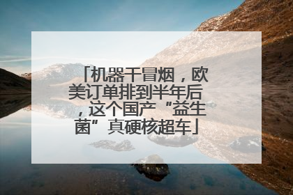 机器干冒烟，欧美订单排到半年后，这个国产“益生菌”真硬核超车