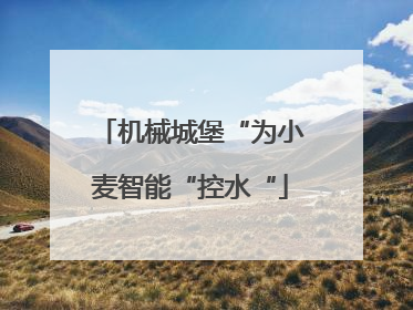 机械城堡“为小麦智能“控水“
