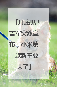 月底见！雷军突然宣布，小米第二款新车要来了