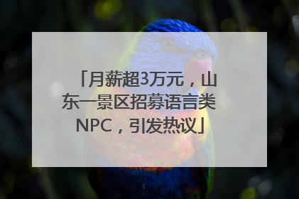月薪超3万元，山东一景区招募语言类NPC，引发热议