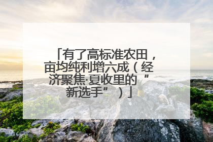 有了高标准农田，亩均纯利增六成（经济聚焦·夏收里的“新选手”）