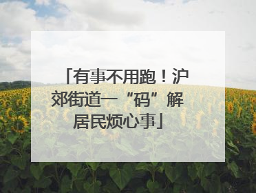 有事不用跑！沪郊街道一“码”解居民烦心事