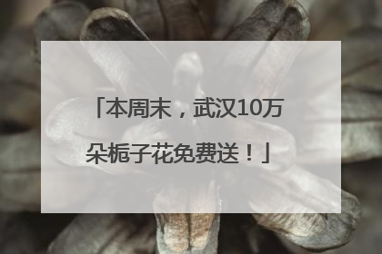 本周末，武汉10万朵栀子花免费送！