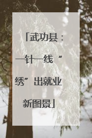 武功县：一针一线“绣”出就业新图景