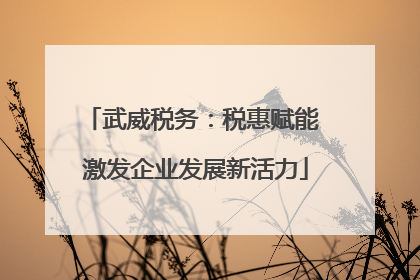 武威税务：税惠赋能 激发企业发展新活力