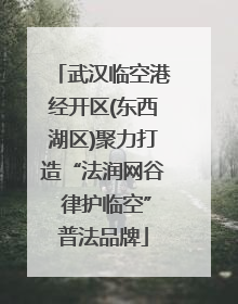 武汉临空港经开区(东西湖区)聚力打造“法润网谷 律护临空”普法品牌