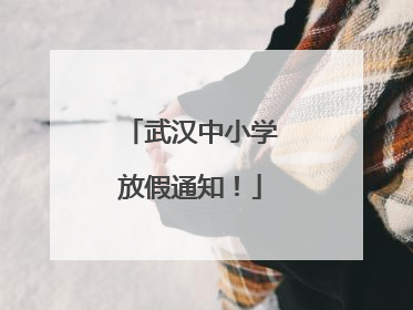 武汉中小学放假通知！