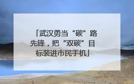武汉勇当“碳”路先锋，把“双碳”目标装进市民手机
