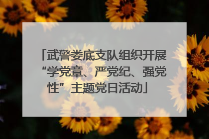 武警娄底支队组织开展“学党章、严党纪、强党性”主题党日活动