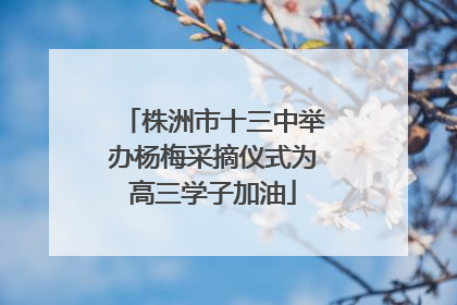 株洲市十三中举办杨梅采摘仪式为高三学子加油