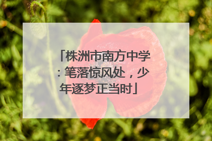 株洲市南方中学：笔落惊风处，少年逐梦正当时