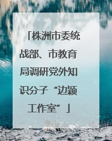 株洲市委统战部、市教育局调研党外知识分子“边颖工作室”