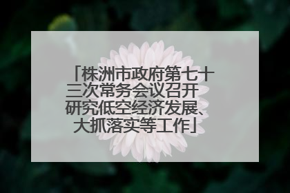 株洲市政府第七十三次常务会议召开 研究低空经济发展、大抓落实等工作