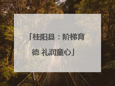 桂阳县：阶梯育德 礼润童心
