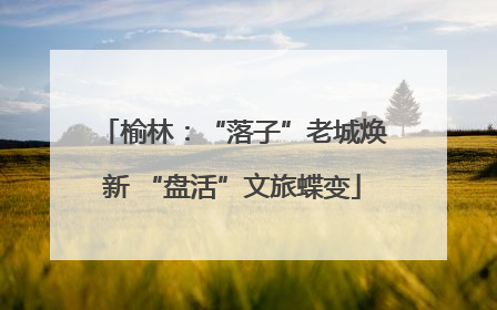 榆林：“落子”老城焕新 “盘活”文旅蝶变