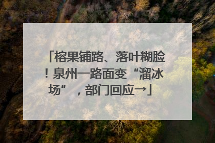榕果铺路、落叶糊脸！泉州一路面变“溜冰场”，部门回应→