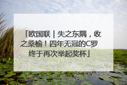 欧国联｜失之东隅，收之桑榆！四年无冠的C罗终于再次举起奖杯