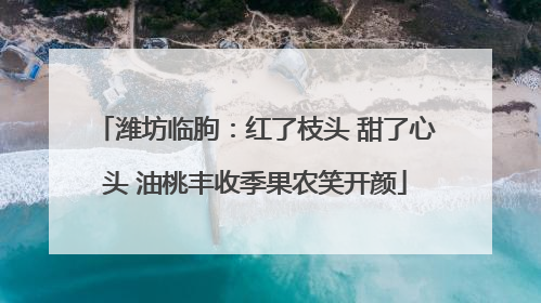 潍坊临朐：红了枝头 甜了心头 油桃丰收季果农笑开颜