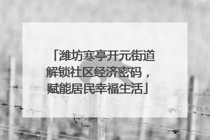 潍坊寒亭开元街道解锁社区经济密码，赋能居民幸福生活