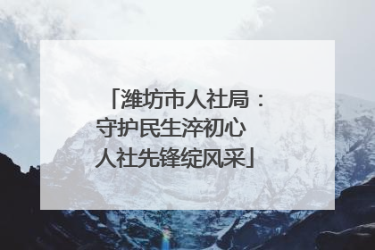 潍坊市人社局：守护民生淬初心 人社先锋绽风采