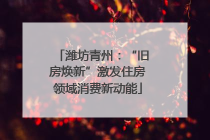 潍坊青州：“旧房焕新”激发住房领域消费新动能
