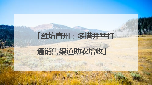 潍坊青州：多措并举打通销售渠道助农增收