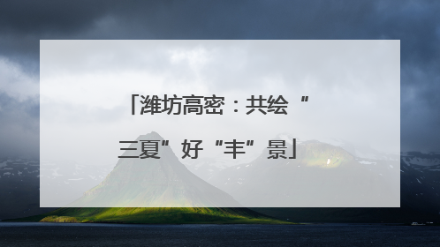 潍坊高密：共绘“三夏”好“丰”景